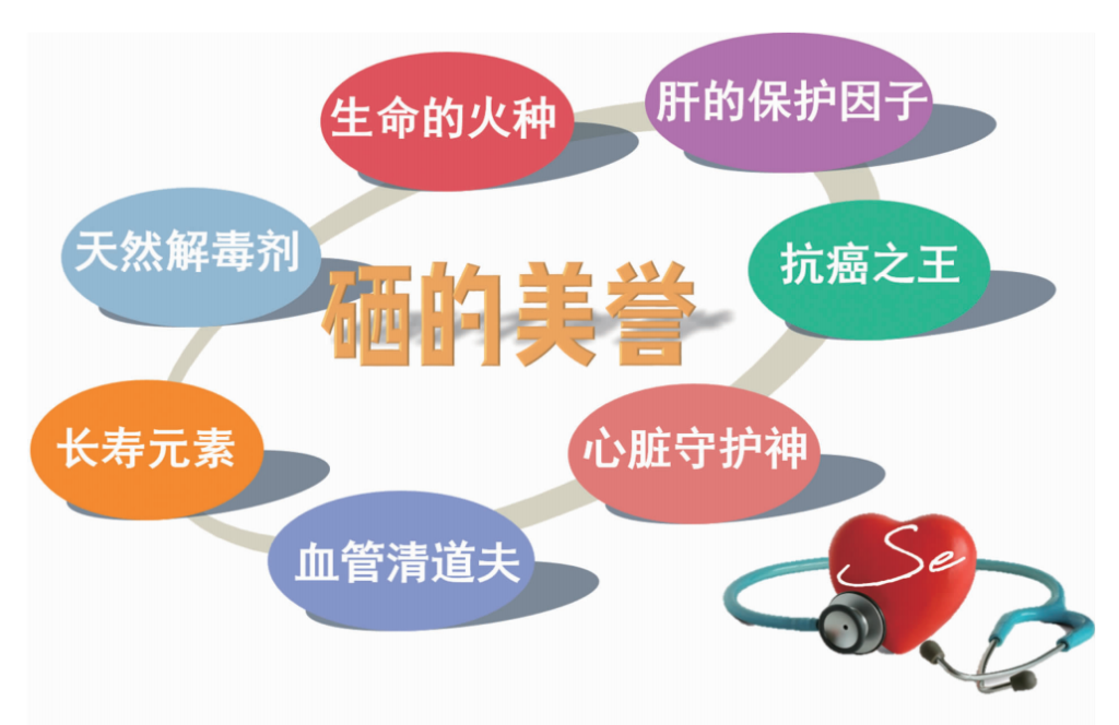 【22度巢】揭秘“硒”的奥秘，药食同源的健康守护者！