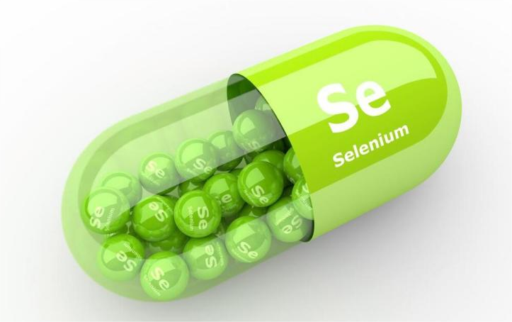 【22度巢】揭秘“硒”的奥秘，药食同源的健康守护者！