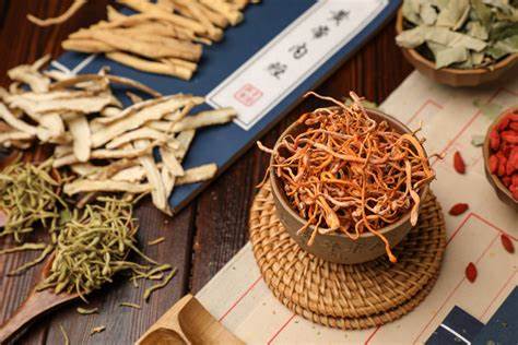 河南举办“世界传统医药日”活动_健康河南频道